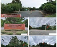 ขายที่ดินเปล่า