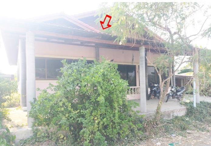 โพรงมะเดื่อ เมืองนครปฐม นครปฐม