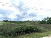 ขายที่ดินว่างเปล่า