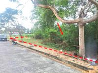 ขายที่ดินว่างเปล่า