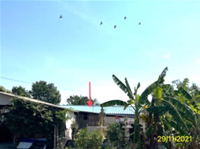 นิลเพชร บางเลน นครปฐม
